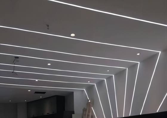 네온사인 LED 라이트 OEM ODM을 위한 탄력적 주도하는 실리콘 튜브 12×12mm