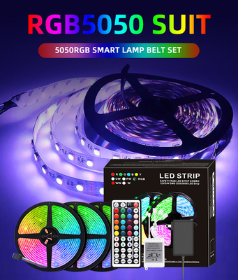 12V 10m 5050 RGB 주도하는 스트립, 멀리 통제된 스마트 홈 주도하는 스트립